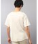 【ビワコットン】 レギュラーTシャツ