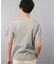 【ビワコットン】 レギュラーTシャツ