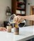 【zen to】BAKE CUP