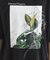 フラワープリントTシャツ