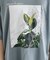 フラワープリントTシャツ