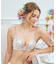 テリン ブラジャー（G-I）＜S Make Type＞