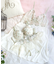 イーシャ ブラジャー（B-D）＜サイドシェイプ＞