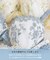 レーナ ブラジャー (B-C) ＜Side Shape（サイドシェイプ）＞
