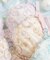 アンチェ ブラジャー (B-C) ＜Sweet Rich（スウィートリッチ）＞