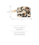 Sofia Card Case SWL2883794
