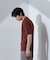 ストライプニットポロ 半袖