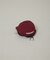 University／CORNELL CAP POACH