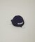 University／MICHIGAN CAP POACH