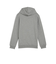 ESS LOGO HOODIE TR B