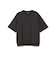 ポリエステルトロ ショートスリーブ Tシャツ