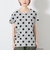 マリモ ドット Tシャツ