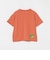 メッシュ ポケット 昆虫 Tシャツ 2026SS （吸水速乾・UVカット）カジュアル 外遊び プチプラ 保育園 通学 定番