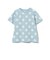 ドット Tシャツ 2026SS (90～140cm) 外遊び プチプラ 通園 通学