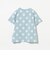 ドット Tシャツ 2026SS (90～140cm) 外遊び プチプラ 通園 通学