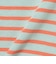 【WEB限定】ボーダー ショートスリーブ Tシャツ 2026SS（90～140cm）
