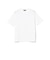 ピマコットン 天竺 Tシャツ
