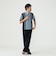 Knit Polo Stripe