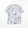 BEAMS / メッシュ プリント ルーズTシャツ