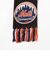 INFIELDER DESIGN × MLB / MLB STADIUM MUFF