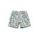 Deck Shorts Nylon Print