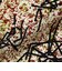 Sports Blouson Jacquard Mapping Print
