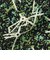 Sports Blouson Jacquard Mapping Print