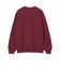 【別注】THE DAY ON THE BEACH / Sweat Crew Neck