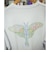 Hi Bridge Books / Moth T-shirt