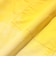 GYM Shorts Twill Gradation Print