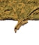 MIL Smock Camo Print Garment Dye