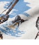 Knit Tee Jacquard