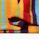 Pile Shorts Multi Stripe