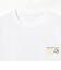 【別注】MOUNTAIN HARDWEAR / Alakazam Backpack Tee