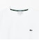 【別注】LACOSTE / アーカイブバッジ Tシャツ