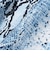 FA.PATTERNED_SHT