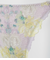 まいにち美胸ライトプリントレースショーツＤ