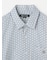 Tetrapod Shirt