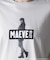 Ｌ／Ｓ ＴＥＥ ②