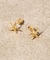 SOAC Star Fish Pierce