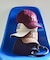 NEW ERA x ROSE BUD 9FORTY