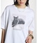 CAT PHOTO S/S TEE