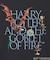 COLSUN HARRY POTTER AND THE GOBLET OF FIRE T-SHIRT