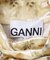 GANNI　Printed Velour Jersey