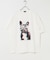 『接触冷感／吸水速乾／UVカット』DOG IN SHADES プリントTシャツ
