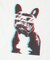 『接触冷感／吸水速乾／UVカット』DOG IN SHADES プリントTシャツ