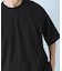U.S. POLO ASSN　天竺クルーTシャツ