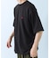 U.S. POLO ASSN　天竺クルーTシャツ