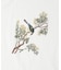 NYBG PRINTED TSH