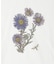 NYBG PRINTED TSH